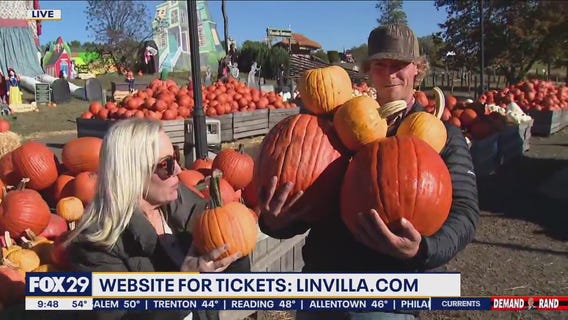 Fall Family Fun at Linvilla Orchards' Pumpkinland