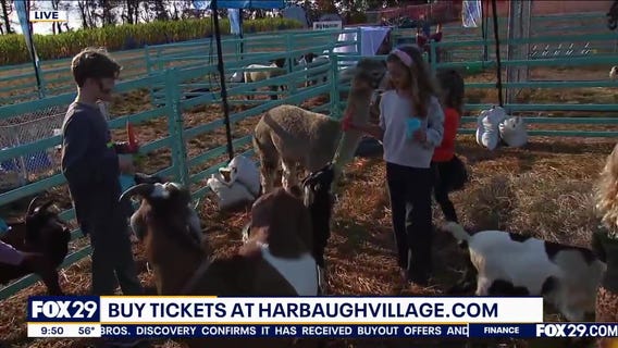 Fall Funland at Harbaugh Village