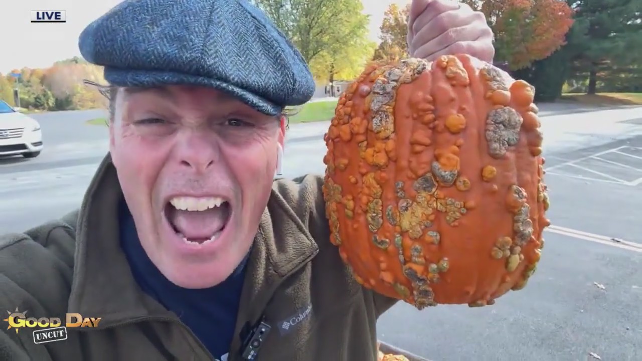 Good Day Uncut: Highland Orchards