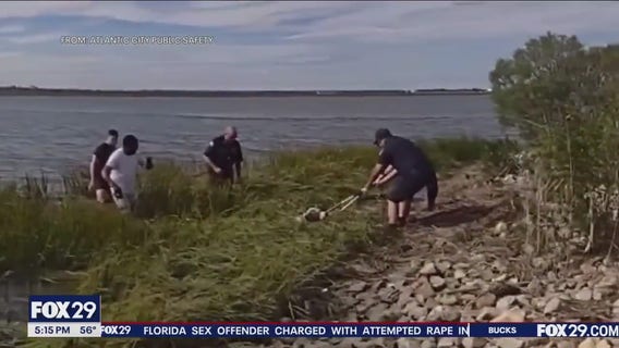 Bodycam captures officer's icy water rescue of dog