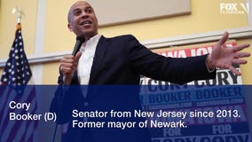 Here are the 2020 presidential candidates