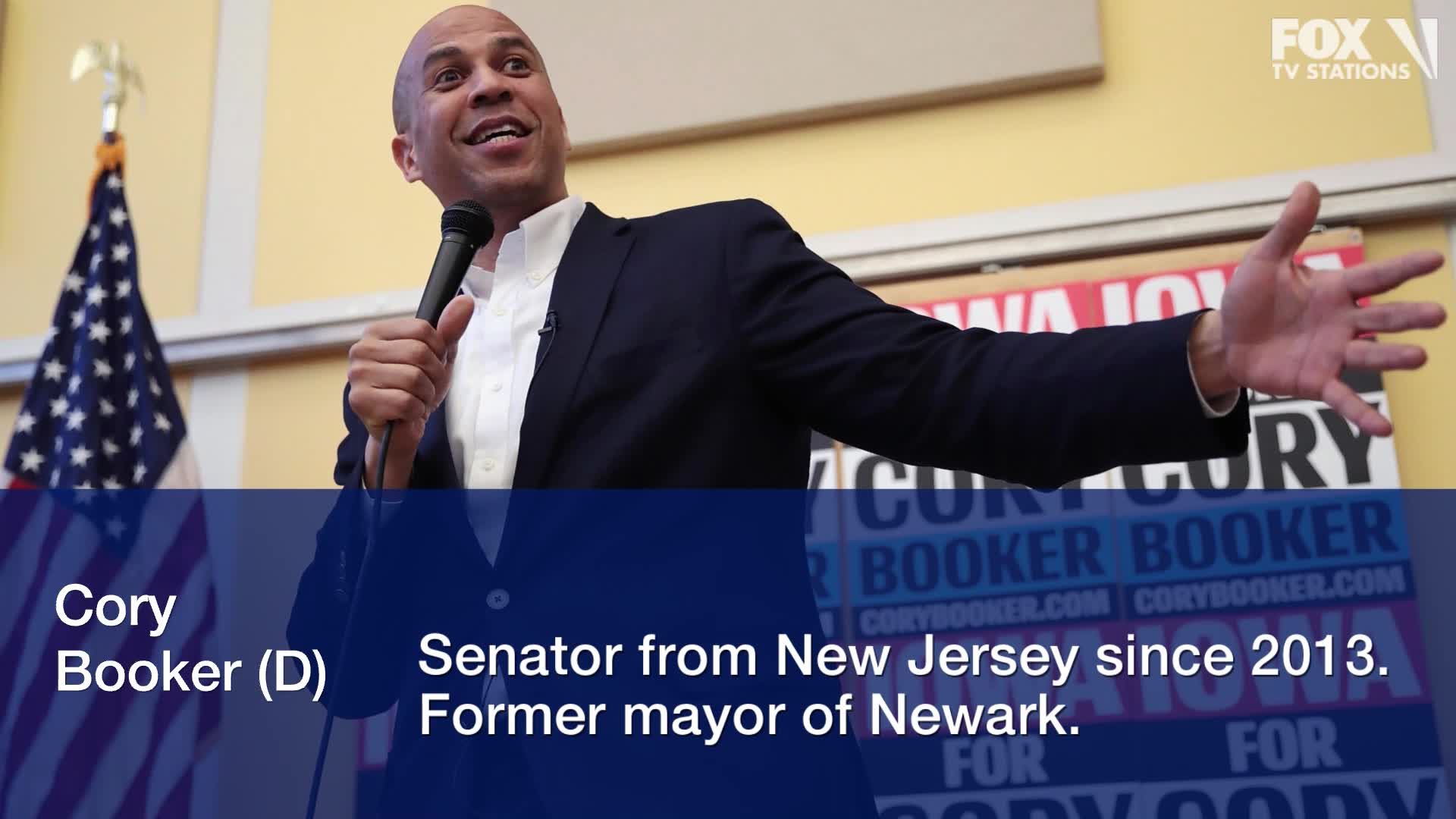 Here are the 2020 presidential candidates