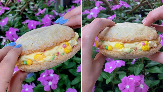 Alcohol-infused Dole Whip cookie sandwich available at Disney World restaurant