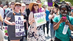 Wayfair employees walkout to protest company selling furniture to migrant detention centers