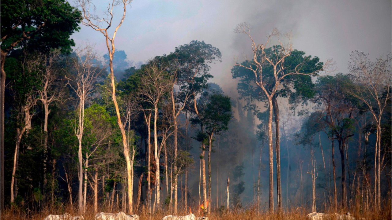 G-7 countries commit $20M to help Amazon fires