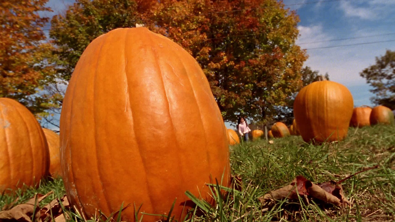 Starbucks adds first pumpkin drink to menu in 16 years