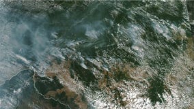 Fires in Amazon rainforest can be seen from space
