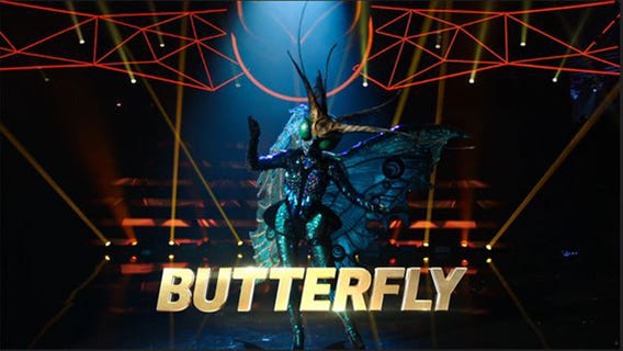 Winged wonder: Meet the butterfly from Season 2 of ?The Masked Singer?