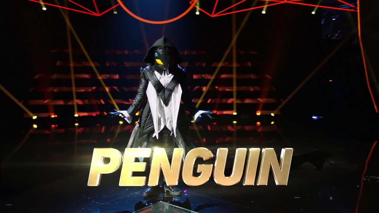 Fearless penguin is ready to ice out the masked competition