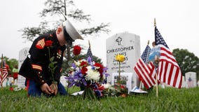 Presidential proclamation declares November ?Veterans and Military Families Month?