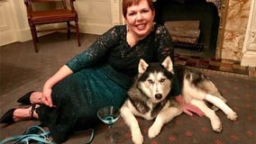 Woman says her husky caught her cancer 5 times, alerting to it before doctors could
