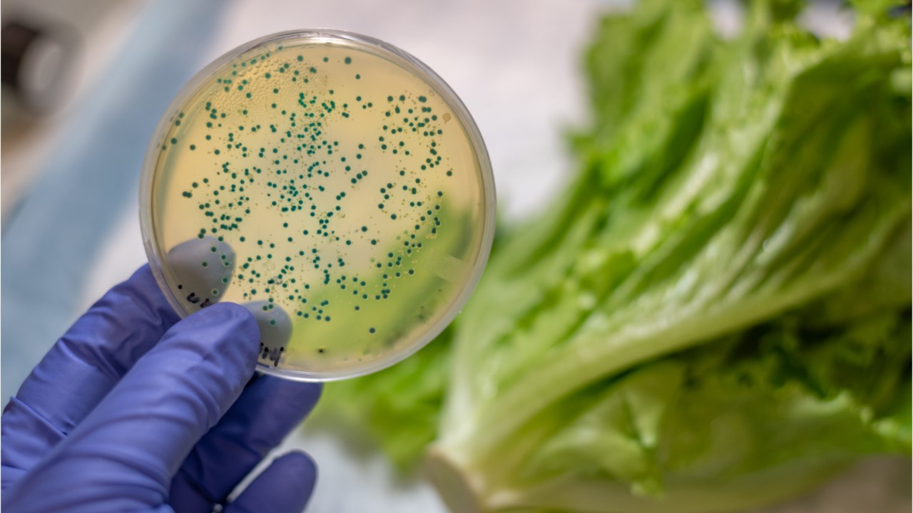 CDC: Foodborne illnesses were on the rise in 2018