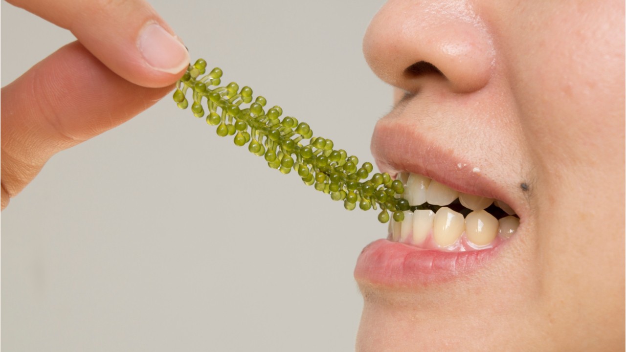 Eating seaweed could prevent colon cancer, inflammation of digestive tract, study suggests