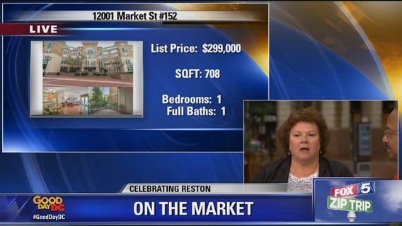Reston | Zip Trip: On The Market