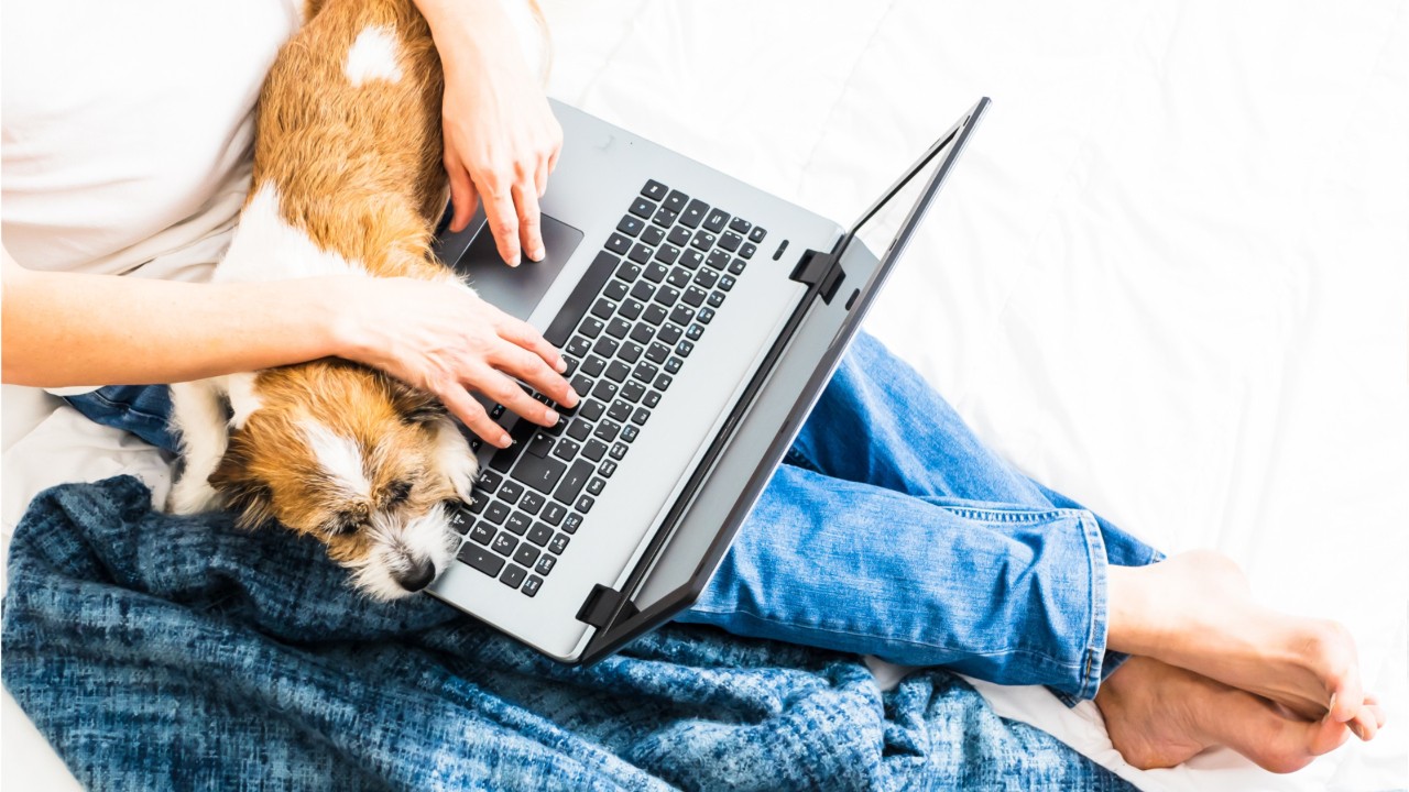 Working remotely can save thousands per year, career site finds