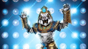 The White Tiger is Rob Gronkowski