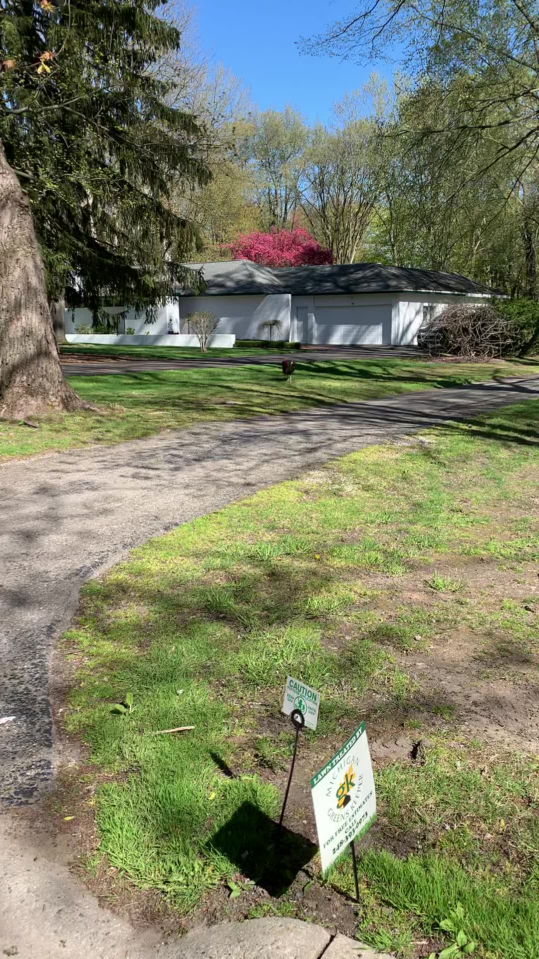 Woman Laughs Hysterically While Turkey Chases Their Car