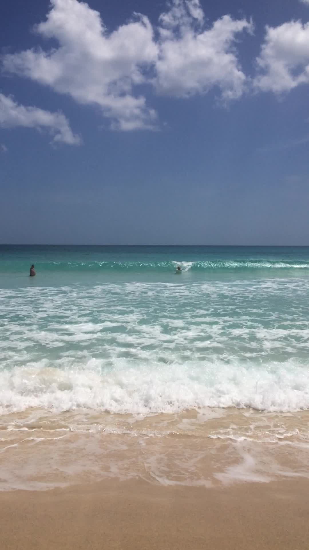 Golden Retriever Balances Themself Over Surfing Board on Wave