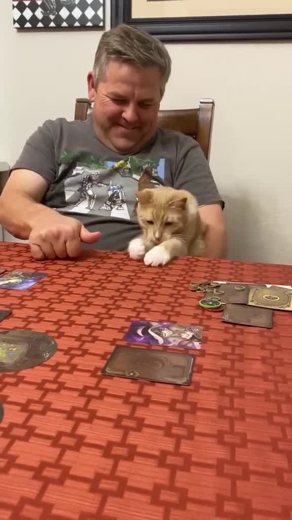 Cat Sits in Owner's Lap and Reacts Weirdly Every Time he Spins Coin on Table