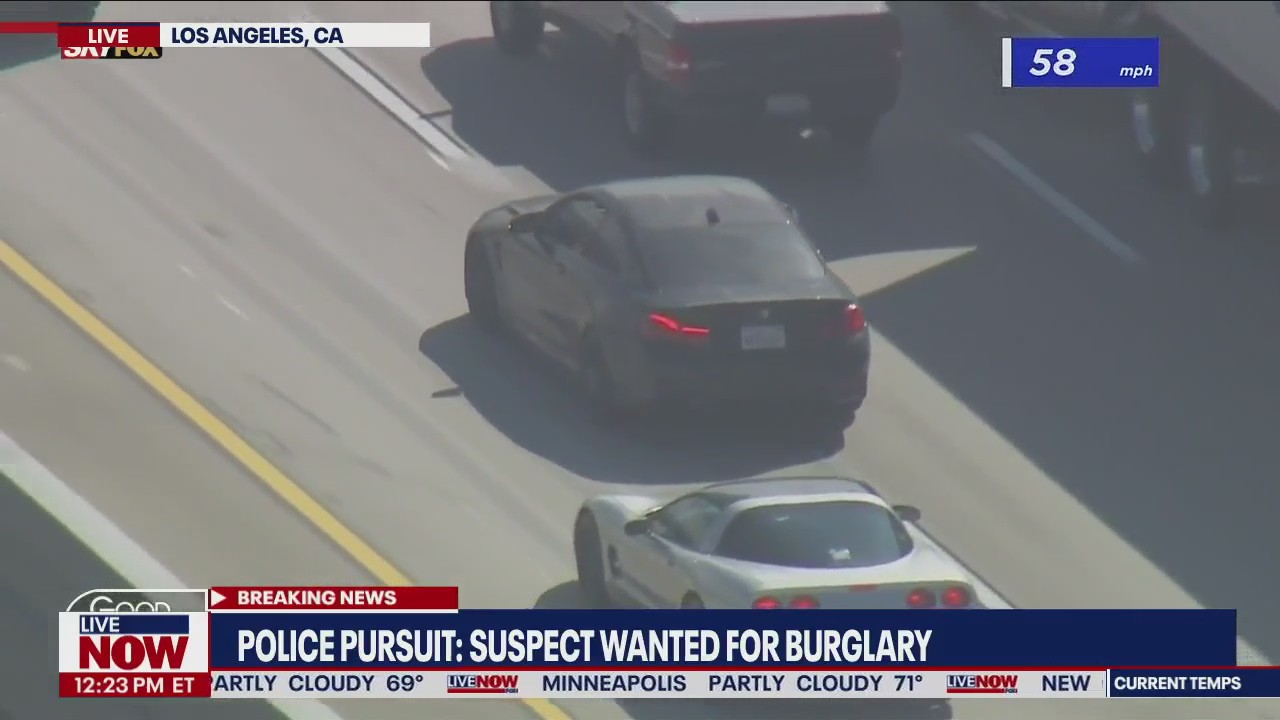 California police chase: BMW hits 150+ mph trying to escape from officers I LiveNOW from FOX