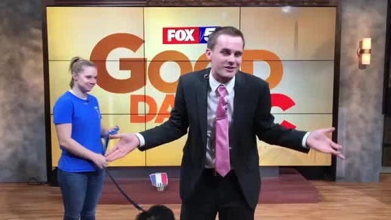 Humane Rescue Alliance pup picks the World Cup winner