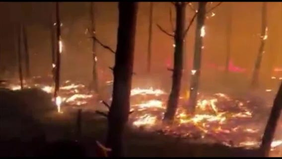 Wildfires burn nearly 50,000 acres in Southern France