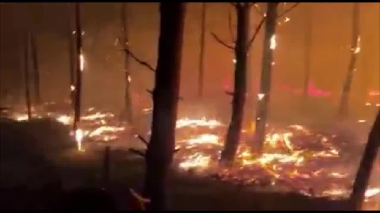 Wildfires burn nearly 50,000 acres in Southern France