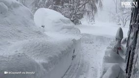 Watch: Man dives, disappears into feet of snow
