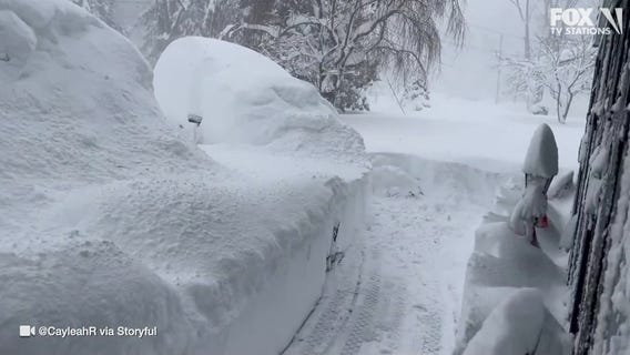 Watch: Man dives, disappears into feet of snow