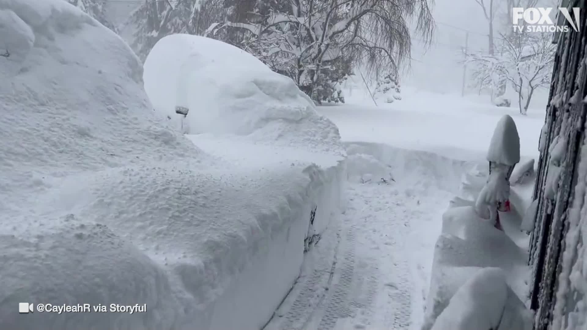 Watch: Man dives, disappears into feet of snow
