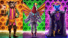 'The Masked Singer': Goodbye to PiRAT, Hummingbird and Panther