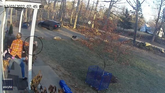 Girl attacked by raccoon while waiting for the school bus