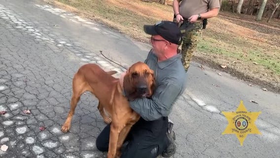 South Carolina K-9 reunited with handler after going missing in training exercise