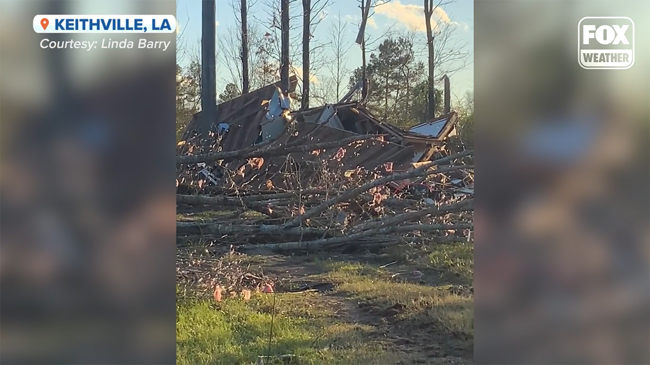 ?I thought we were going to die for sure?: Tornado survivor shares aftermath