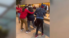 Video: Apple store theft on Black Friday