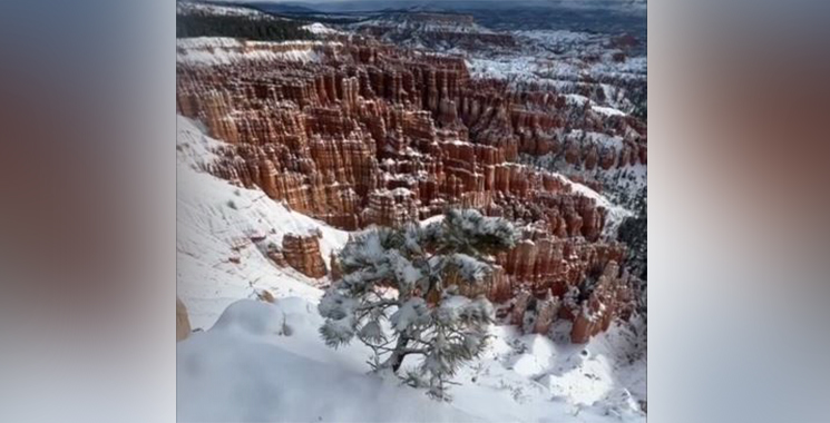 Snow turns red rocks white in Utah's Bryce Canyon