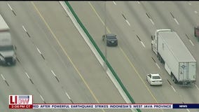 Wild police chase in Dallas with a K9 surprise for the suspect