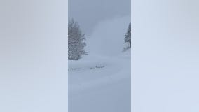 Avalanche hazard forces road closure in Utah's Cottonwood Canyons