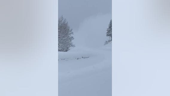 Avalanche hazard forces road closure in Utah's Cottonwood Canyons