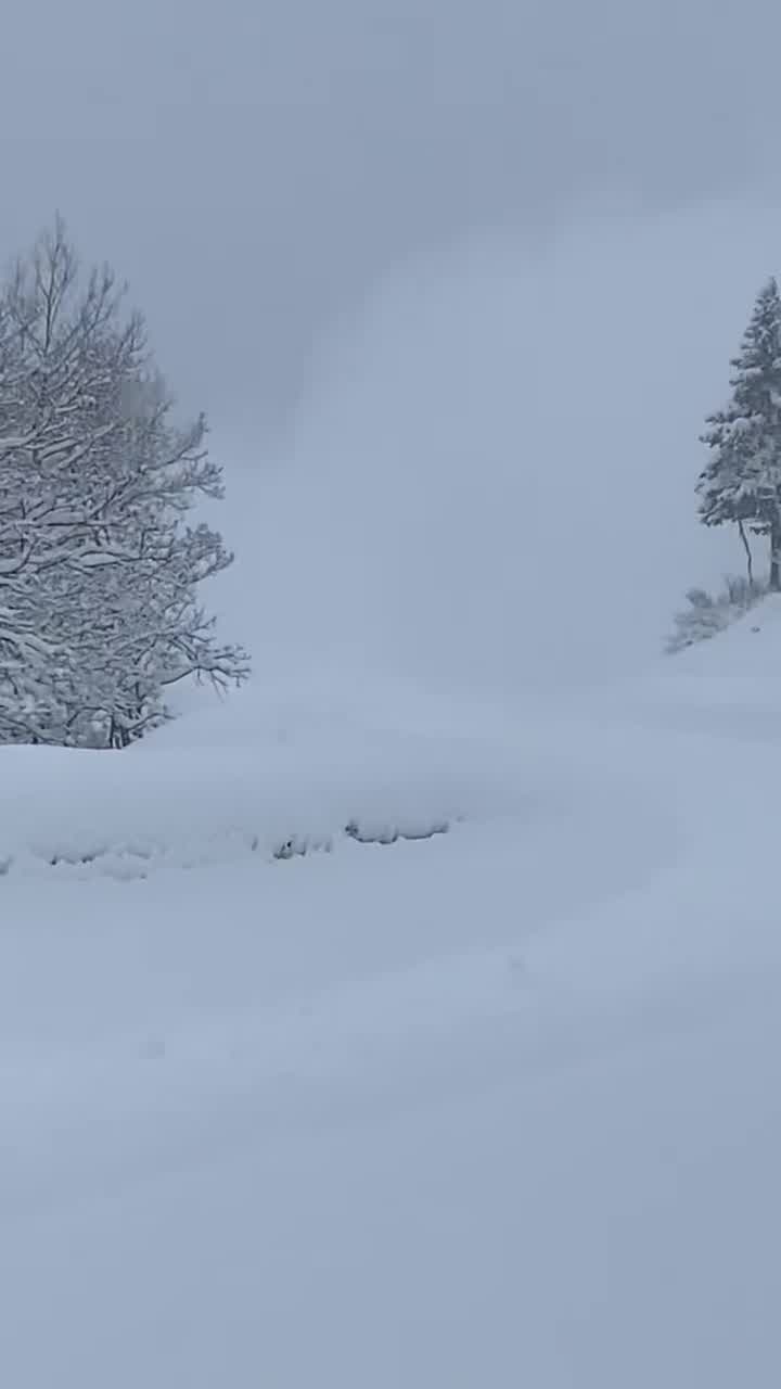 Avalanche hazard forces road closure in Utah's Cottonwood Canyons