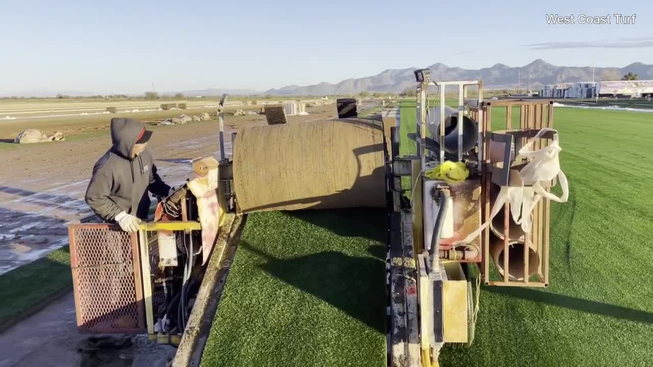 Grass being prepared for Super Bowl LVII