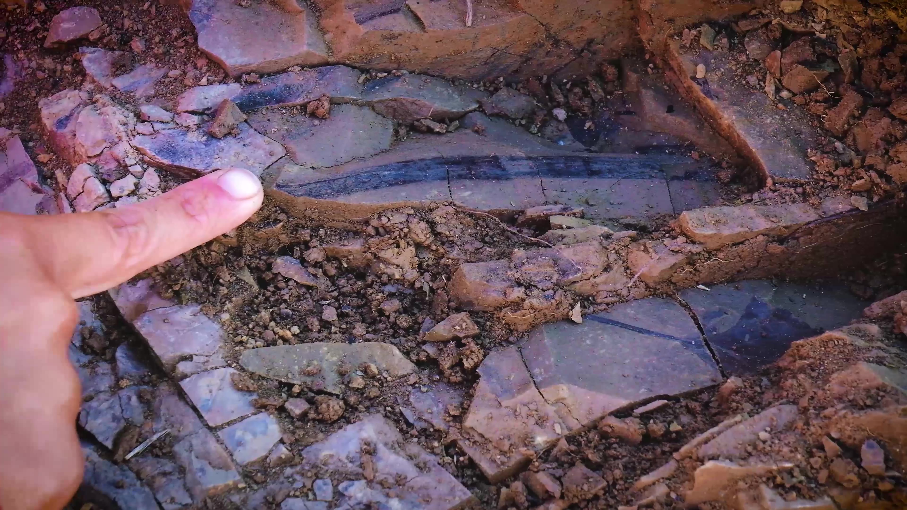 Researchers unearthing bird, dinosaur fossils in Chilean Patagonia