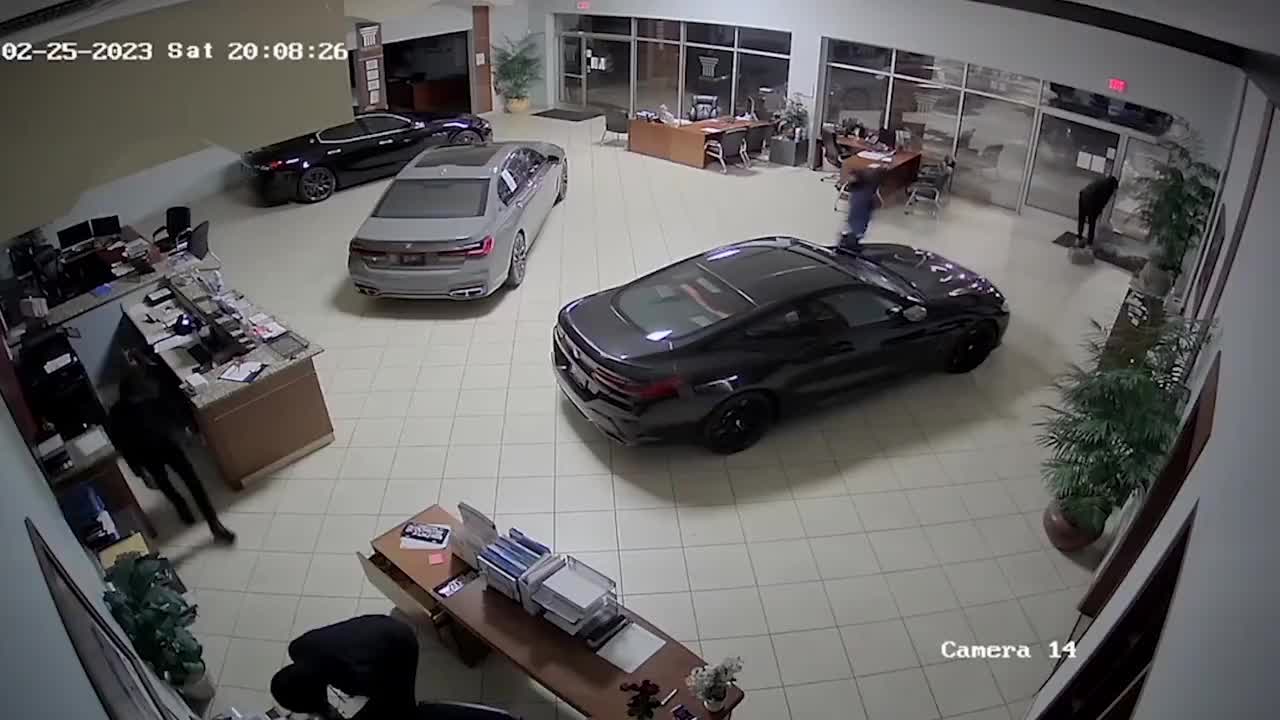 Watch: NC thieves steal Maserati, BMWs from showroom floor