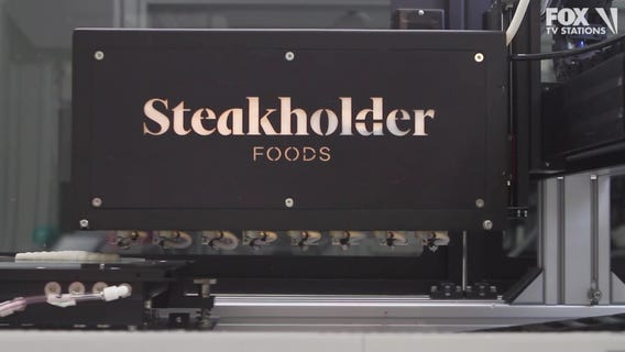 Watch 3D printer complete ready-to-cook fish