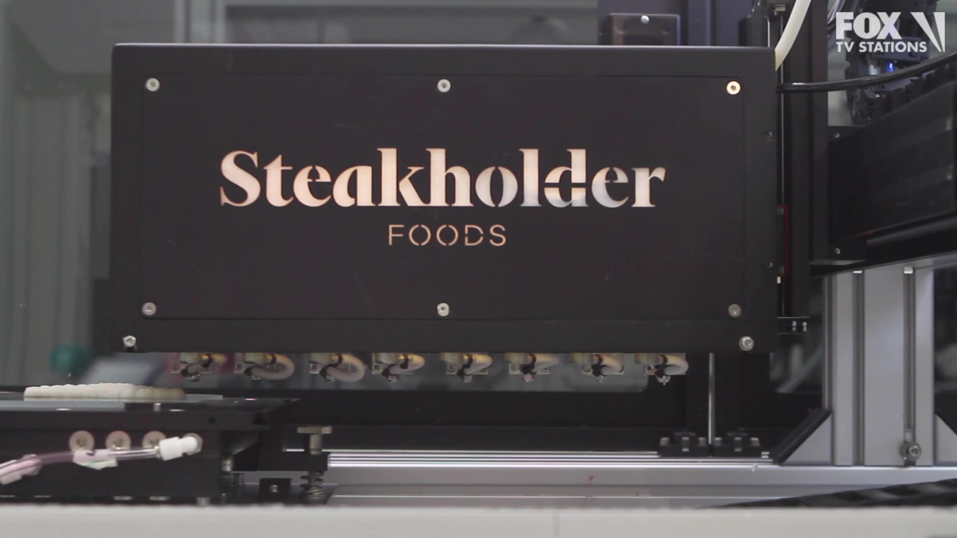 Watch 3D printer complete ready-to-cook fish