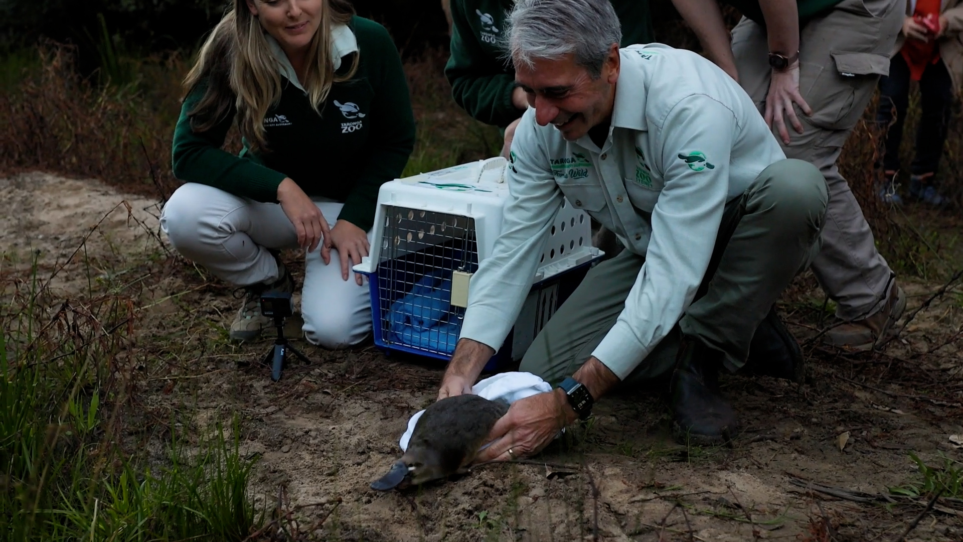 Platypuses return to Australian national park