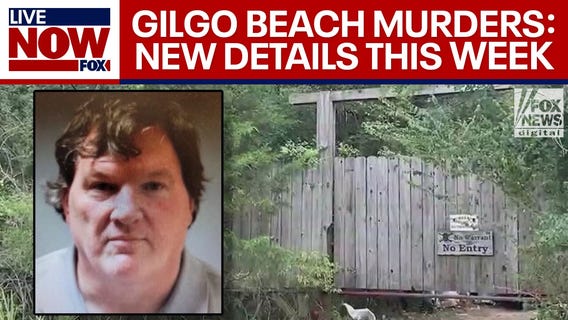 Gilgo Beach murders: New details were revealed this week