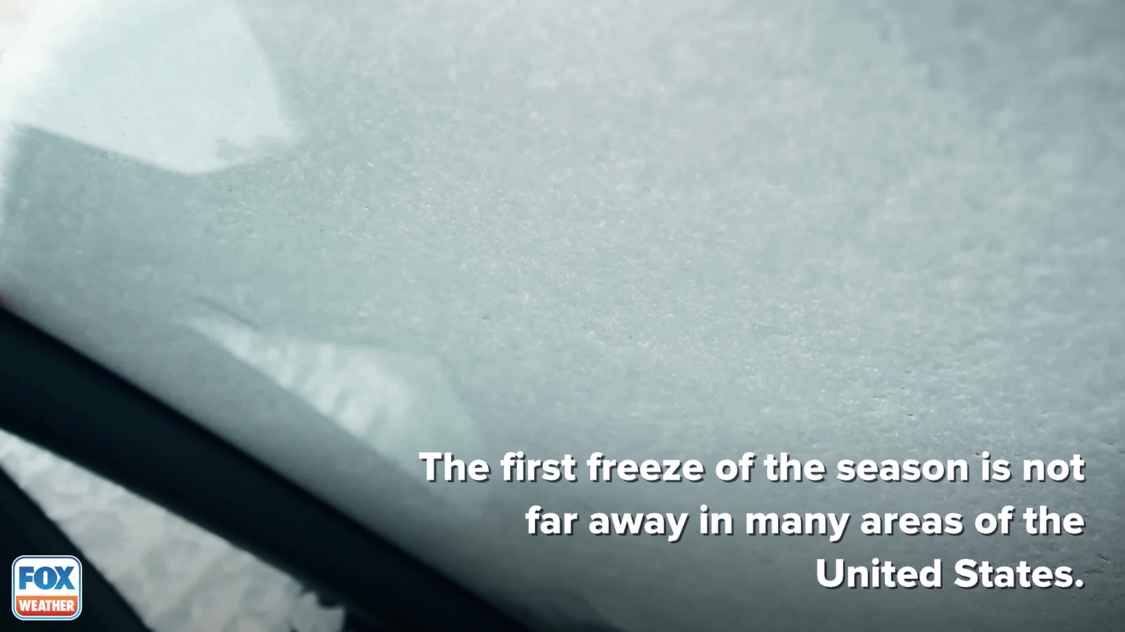 When to expect your first freeze of the season | LiveNOW from FOX