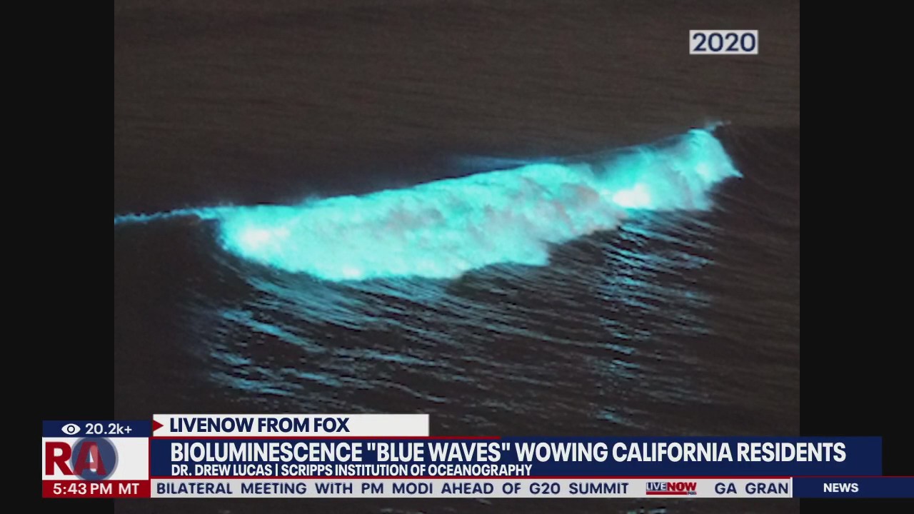 What's causing waves in Southern Calif. to glow?