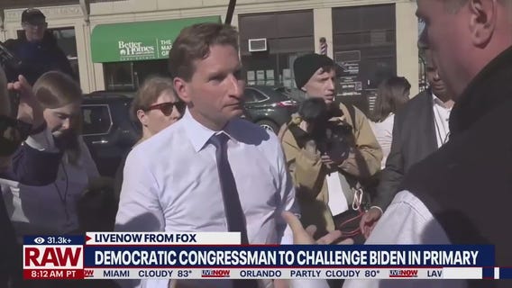 Democrat will challenge Biden in primary